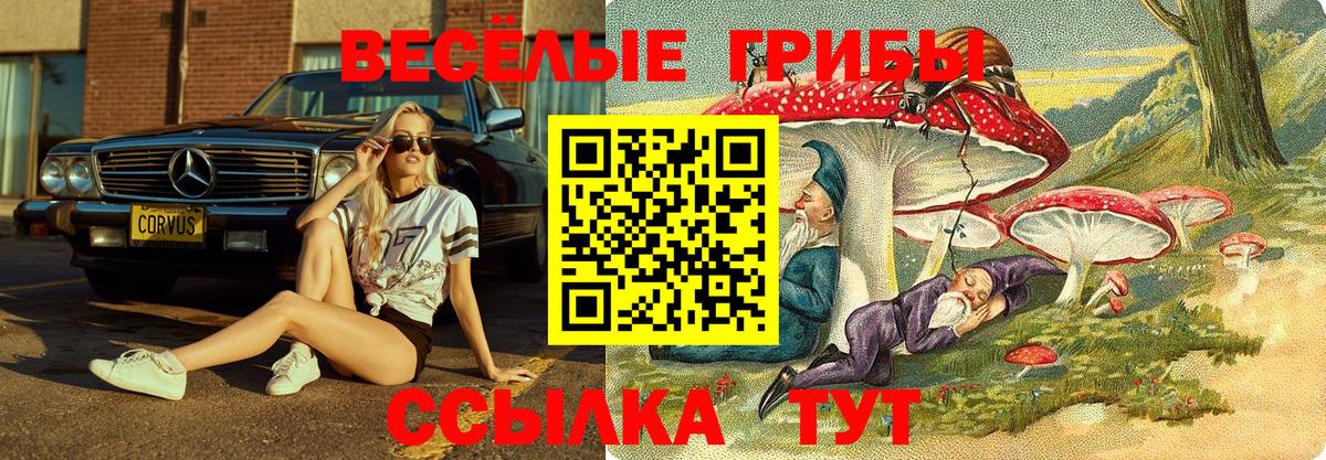 Псилоцибиновые грибы Psilocybe  Псилоцибиновые грибы MAGIC MUSHROOMS  Крымск  Вход с VPN 