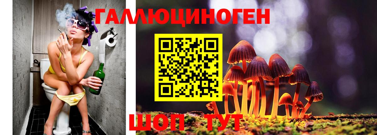 Псилоцибиновые грибы Magic Shrooms Крымск